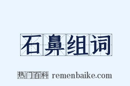 石鼻组词是什么意思的图片